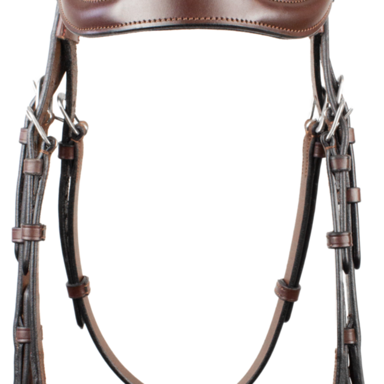 Bridle