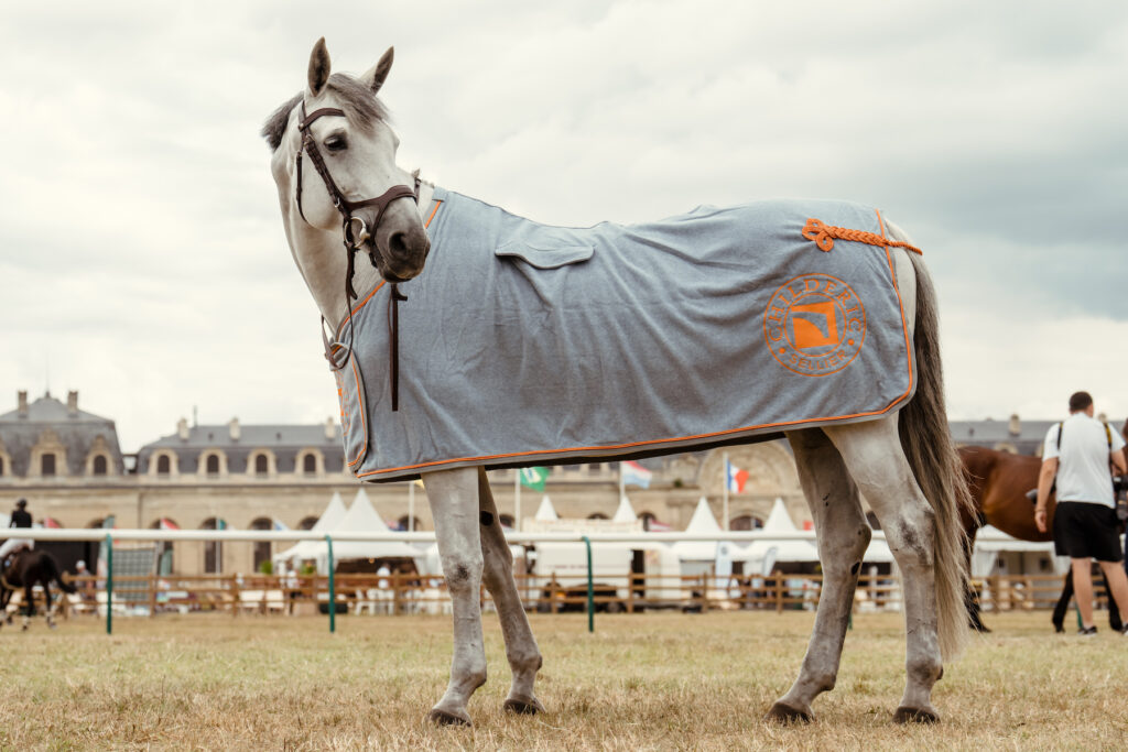 Chemise Childéric